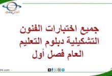 المنهاج العماني 2025-2026 - المناهج الدراسية في سلطنة عمان جميع اختبارات الفنون التشكيلية دبلوم التعليم العام فصل أول
