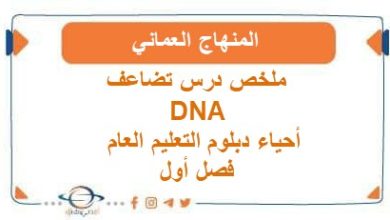 ملخص درس تضاعف DNA أحياء دبلوم التعليم العام فصل أول منهج عمان