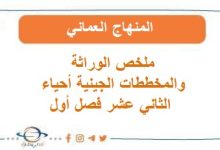 ملخص الوراثة والمخططات الجينية أحياء الثاني عشر فصل أول عمان