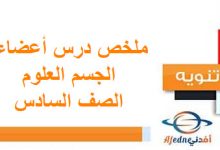 ملخص درس أعضاء الجسم العلوم الصف السادس الفصل الأول