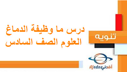 ملخص درس ما وظيفة الدماغ العلوم الصف السادس الفصل الأول