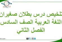 تلخيص درس بطلان صغيران لغة عربية صف سادس فصل ثاني