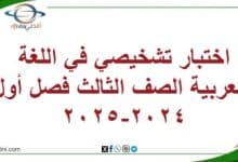 اختبار تشخيصي في اللغة العربية الصف الثالث فصل أول 2023-2024