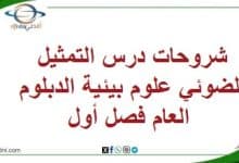 المنهاج العماني 2025-2026 - المناهج الدراسية في سلطنة عمان شروحات درس التمثيل الضوئي علوم بيئية الدبلوم العام فصل أول