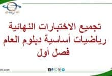 تجميع الاختبارات النهائية رياضيات أساسية دبلوم العام فصل أول